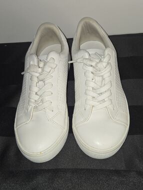 Steve Madden White Sneaker